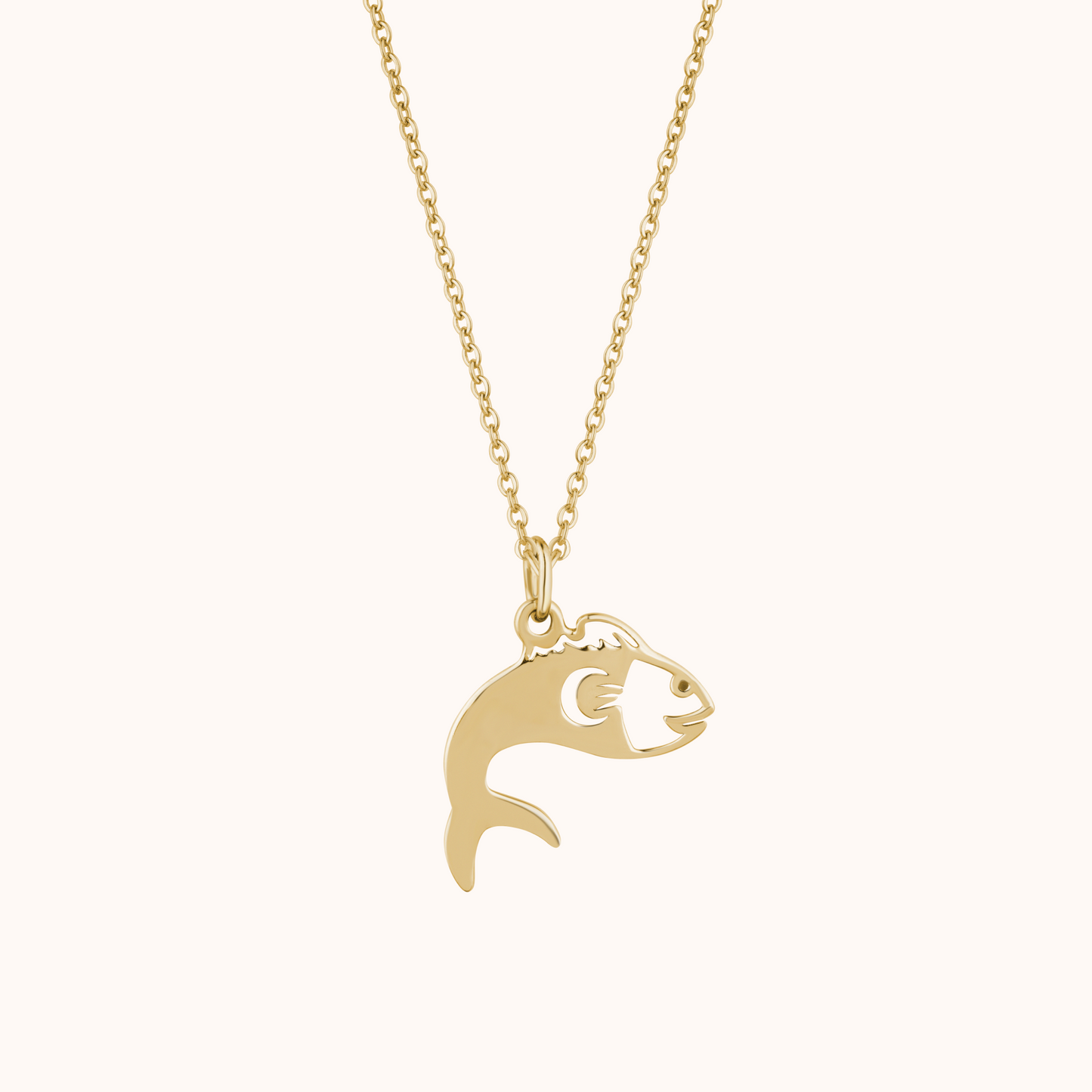 Silver Fish Charm Necklace