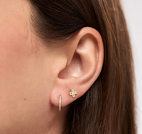 Four Petal Clover Solitaire Stud Earrings