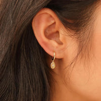 North Star Oval Medallion Huggie Drop Earrings