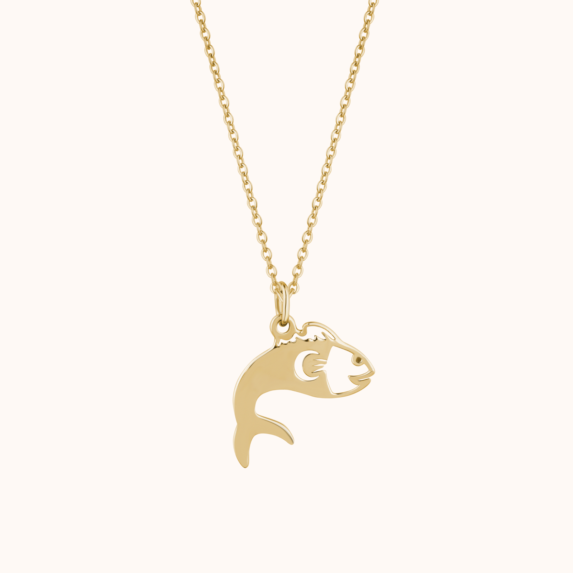 Silver Fish Charm Necklace